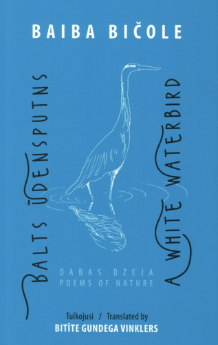 Balts ūdensputns/ A white Waterbird